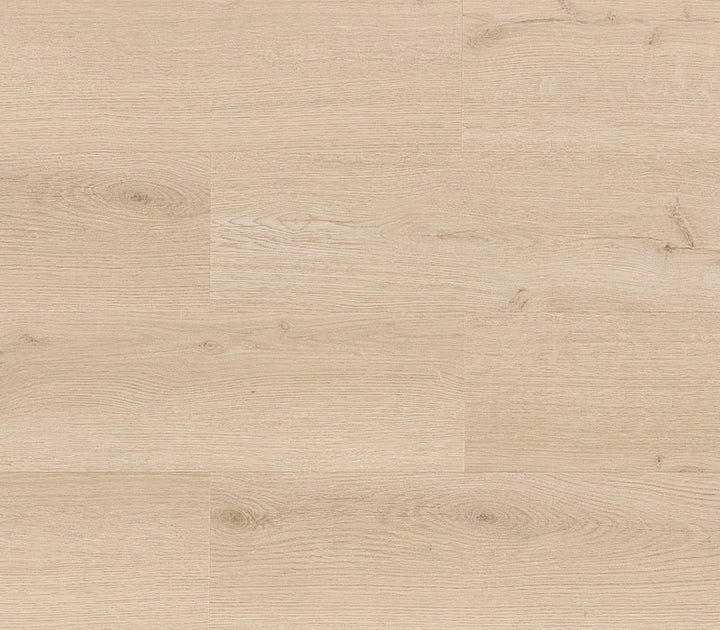 Parchet SPC,Classic Plank,Calamar,NF10240,5.5mm,Nomad Flo