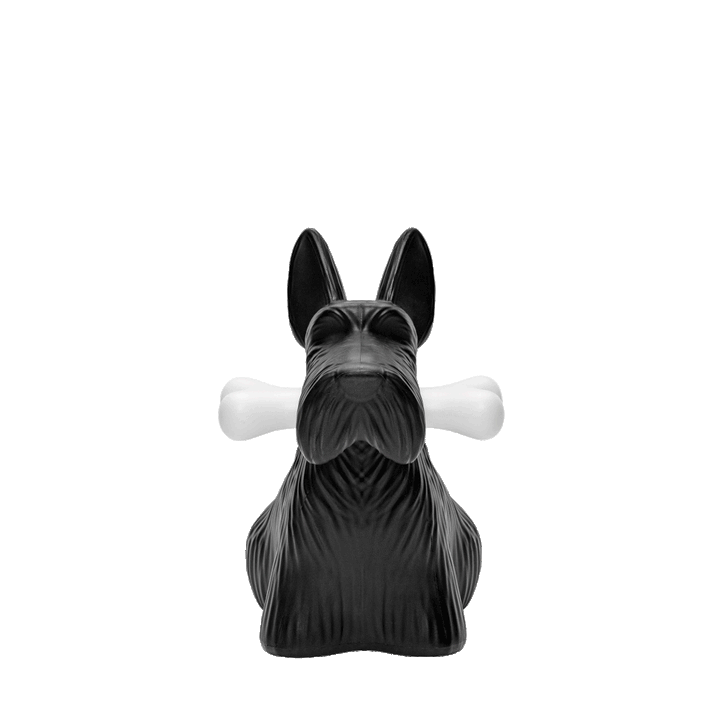 Scottie Black, Qeeboo