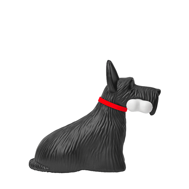 Scottie Black, Qeeboo
