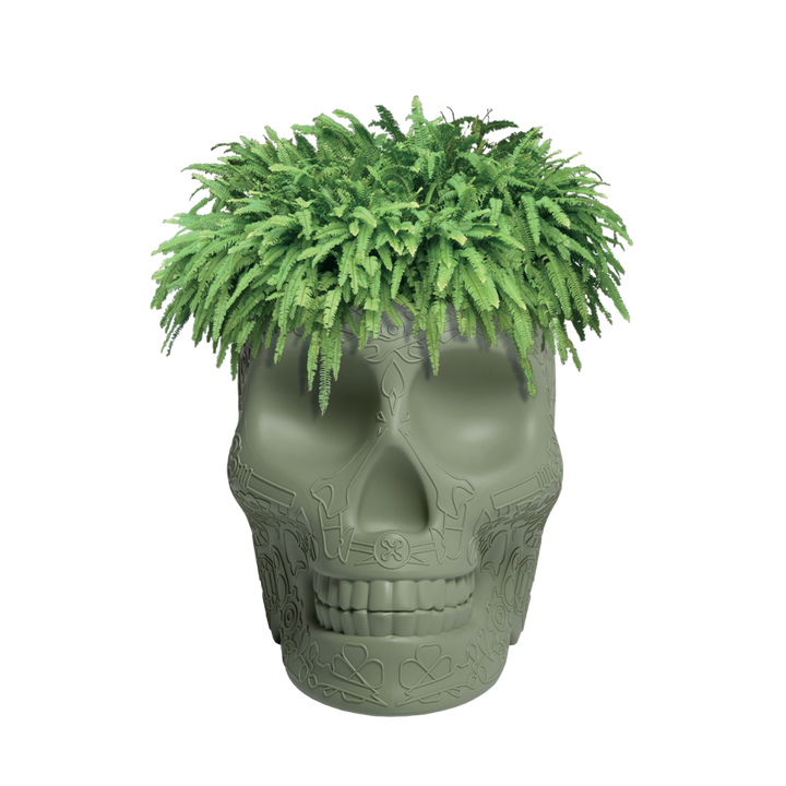 Ghiveci multifuncțional Mexico Balsam Green, Qeeboo