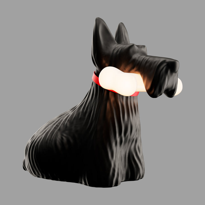 Scottie Black, Qeeboo