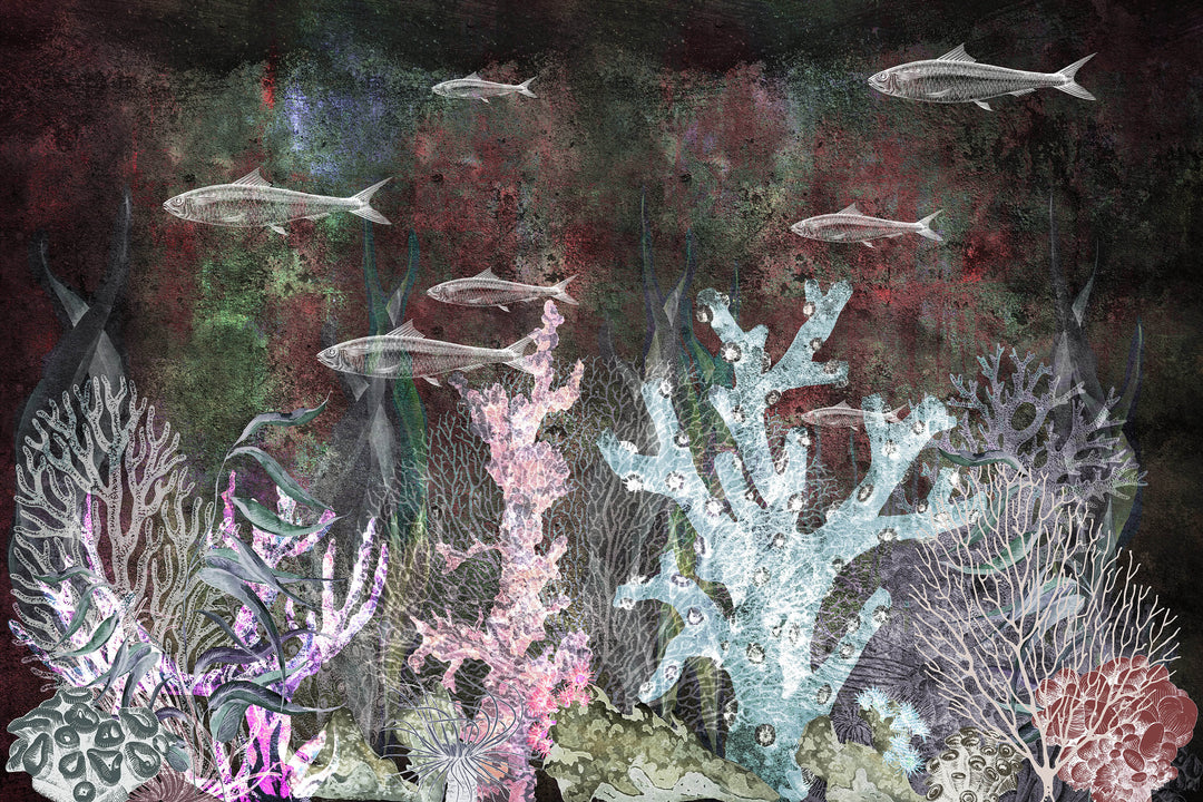 Tapet Coral 02, Instabilelab