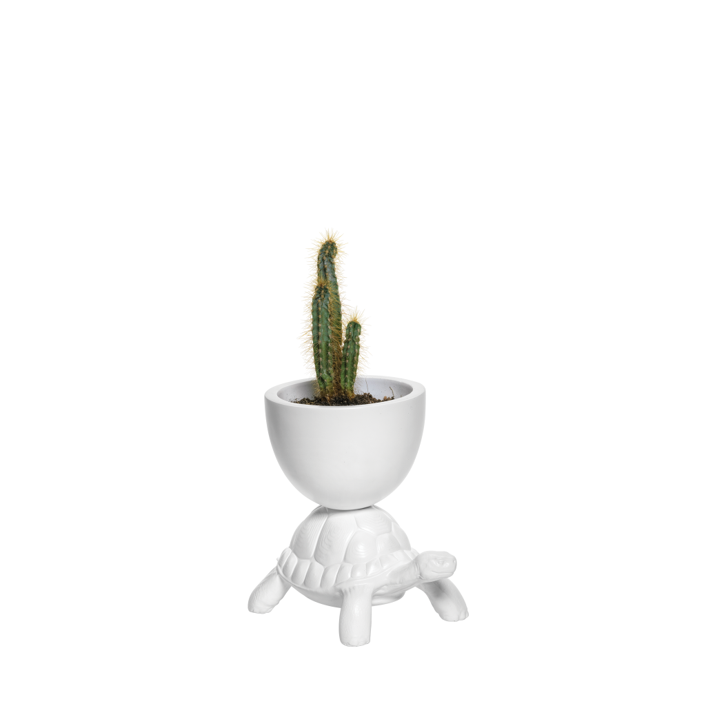 Ghiveci Turtle Carry XS White, Qeeboo