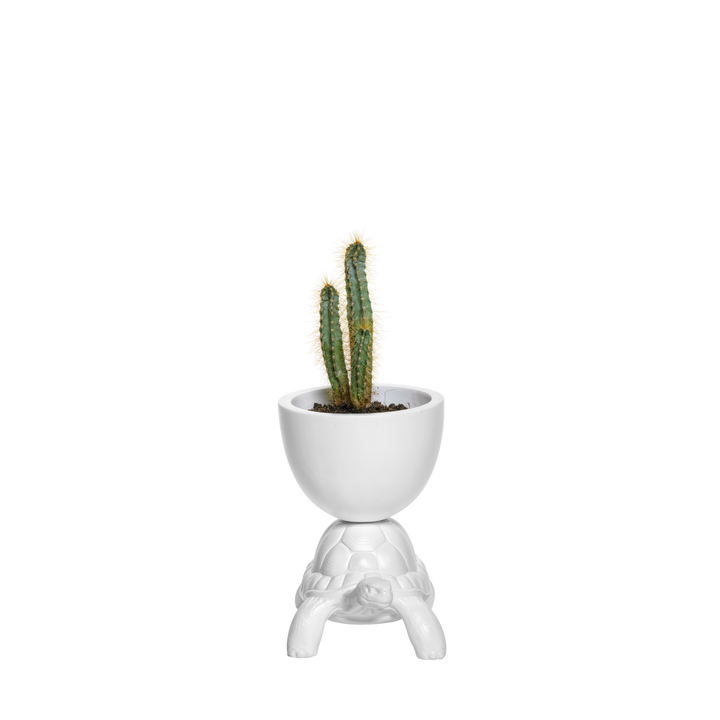 Ghiveci Turtle Carry XS White, Qeeboo