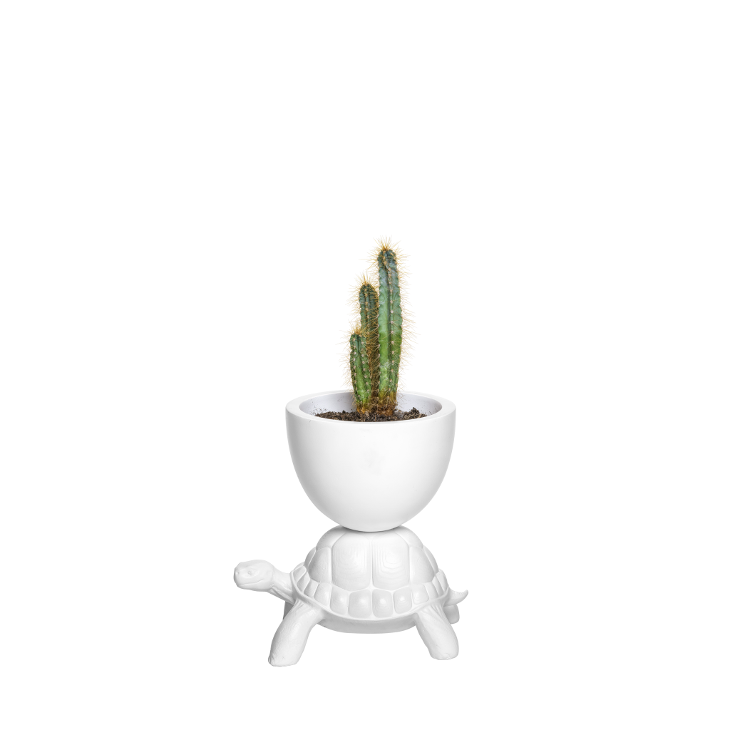 Ghiveci Turtle Carry XS White, Qeeboo