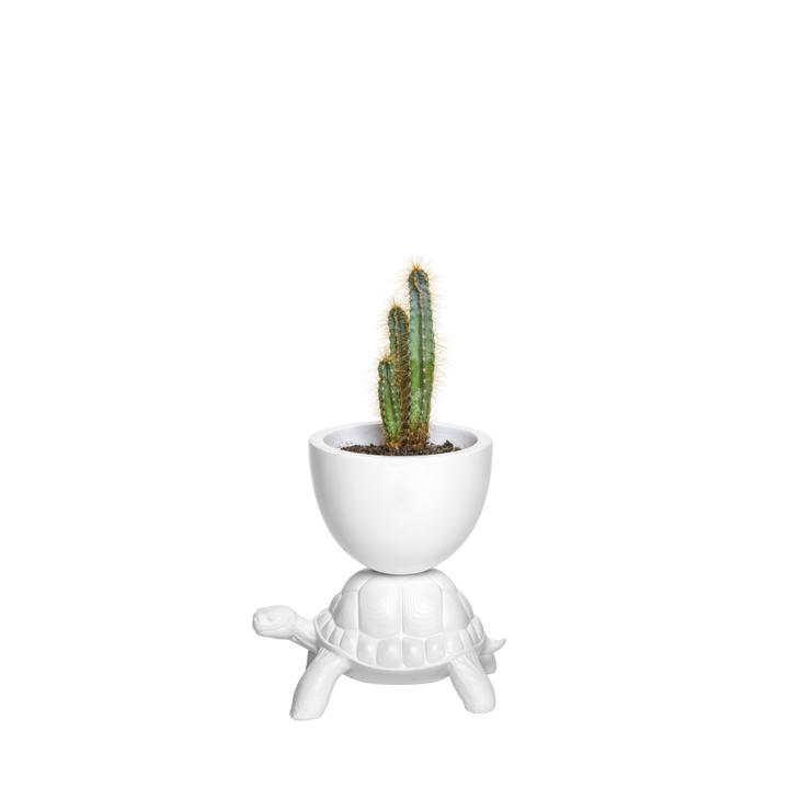 Ghiveci Turtle Carry XS White, Qeeboo