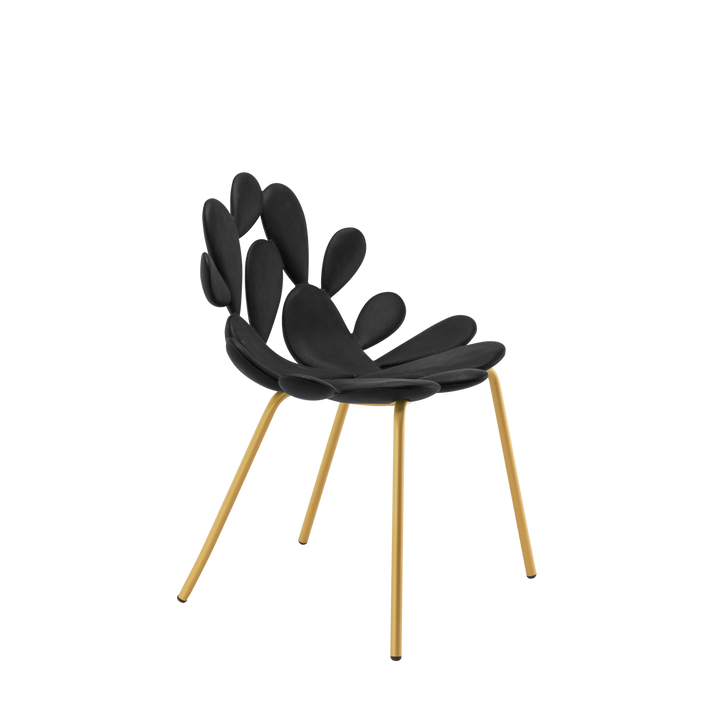 Set 2 Scaune Filicudi Black - Brass, Qeeboo