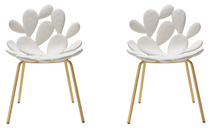 Set 2 Scaune Filicudi White - Brass, Qeeboo