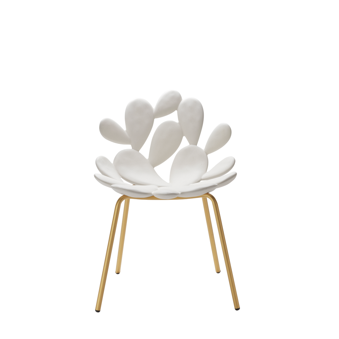 Set 2 Scaune Filicudi White - Brass, Qeeboo