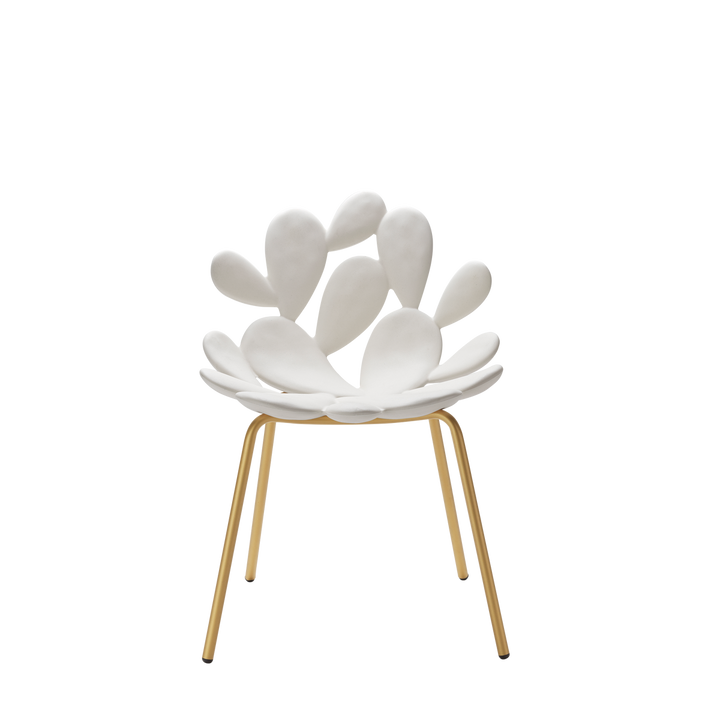 Set 2 Scaune Filicudi White - Brass, Qeeboo