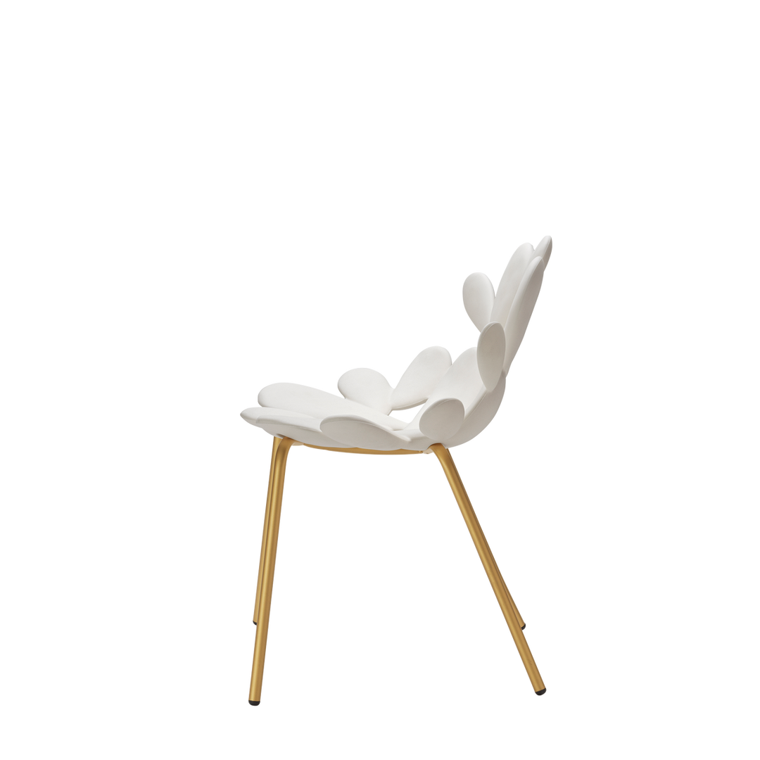 Set 2 Scaune Filicudi White - Brass, Qeeboo