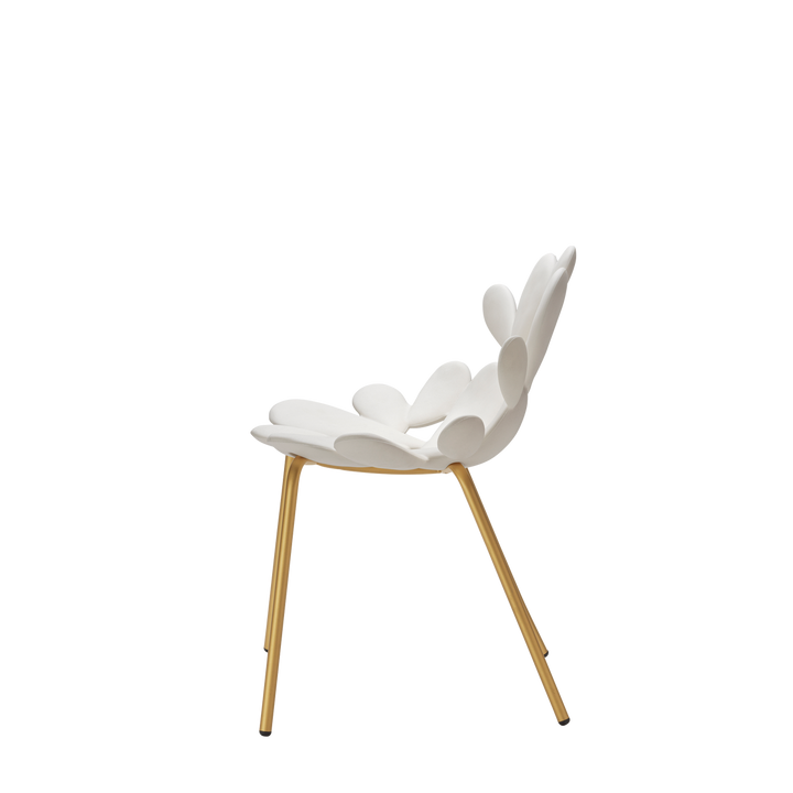 Set 2 Scaune Filicudi White - Brass, Qeeboo