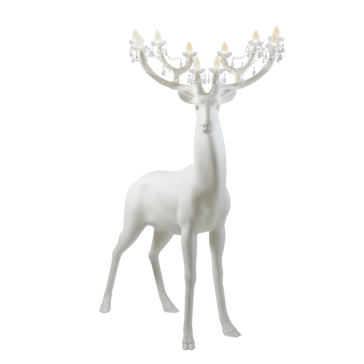 Sherwood White, Qeeboo