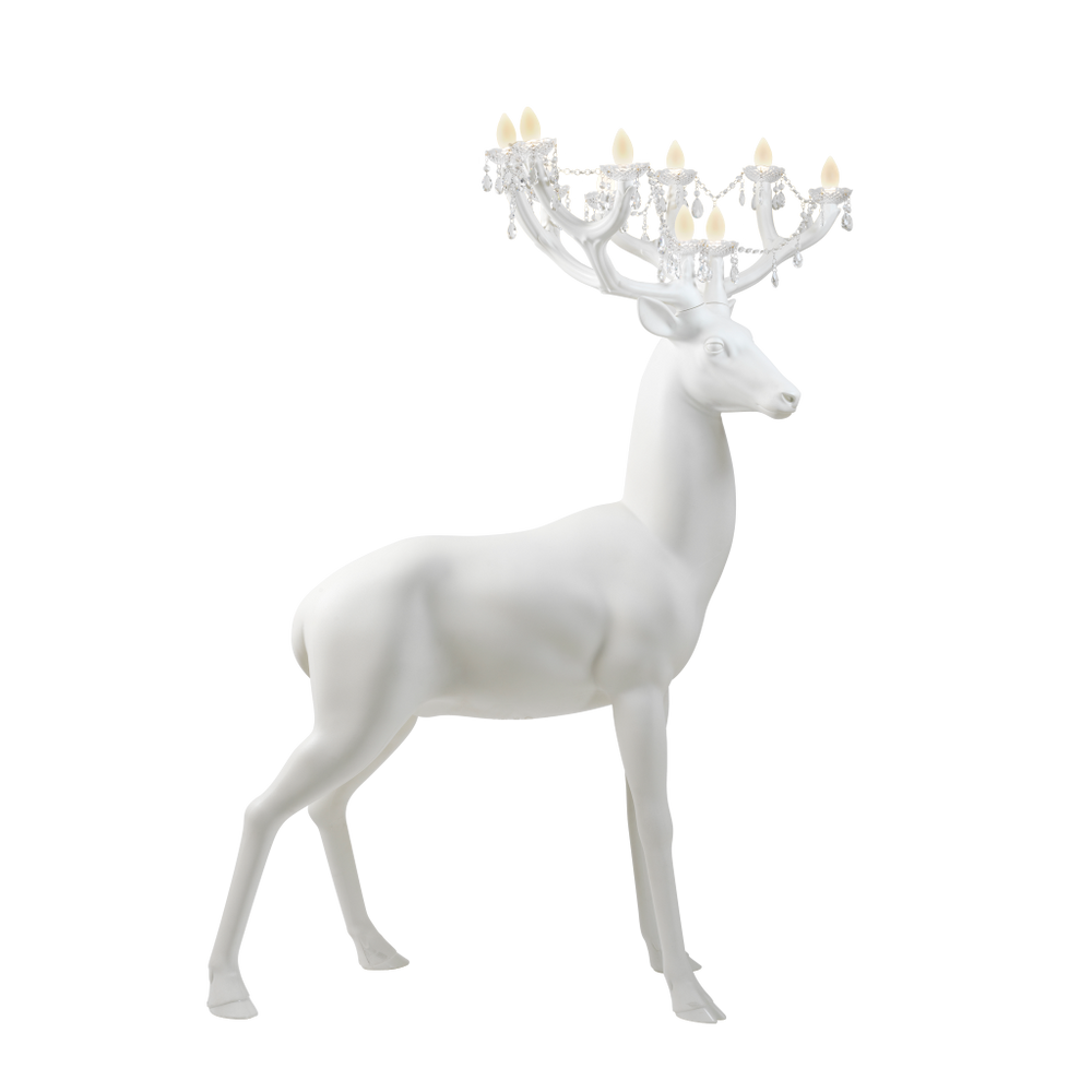 Sherwood White, Qeeboo