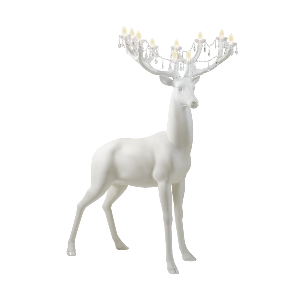 Sherwood White, Qeeboo