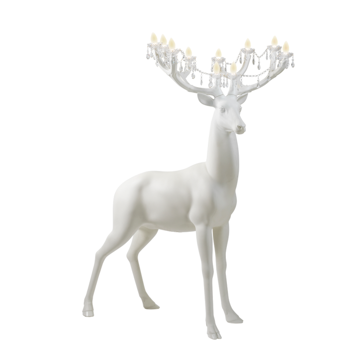Sherwood White, Qeeboo