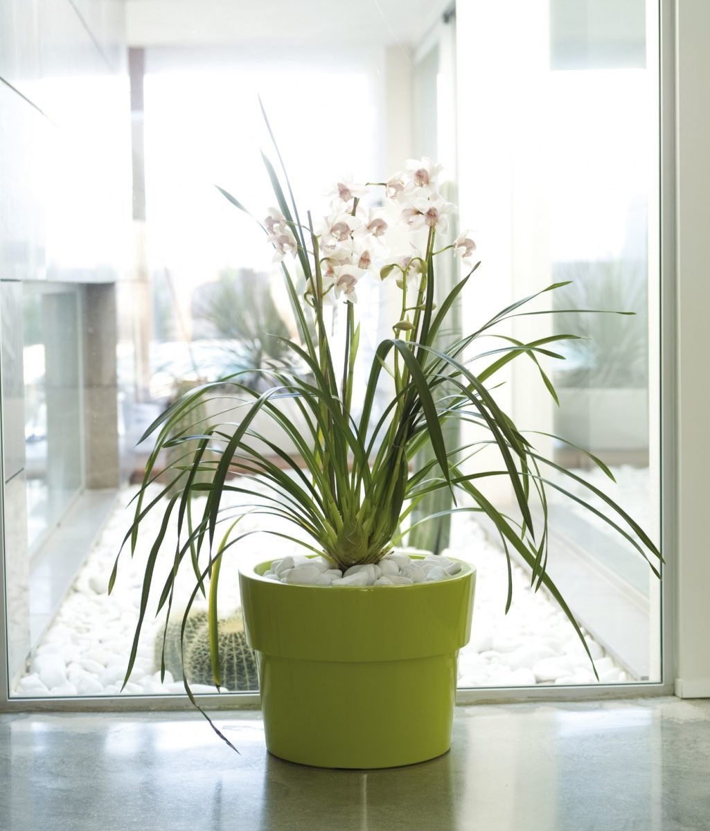 Ghiveci Vaso 35cm, Studio Vondom