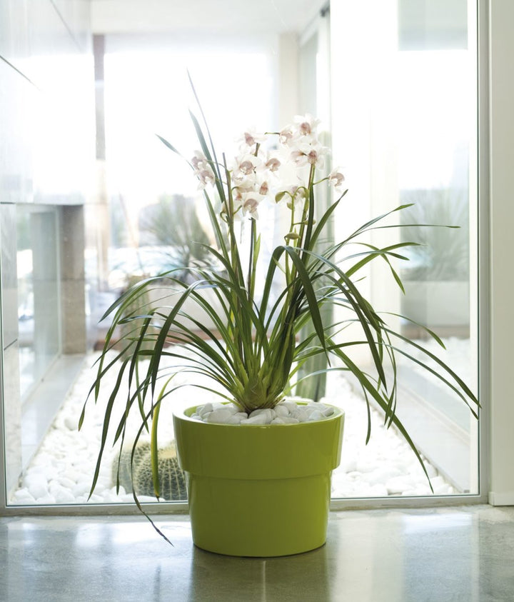 Ghiveci Vaso 35cm, Studio Vondom