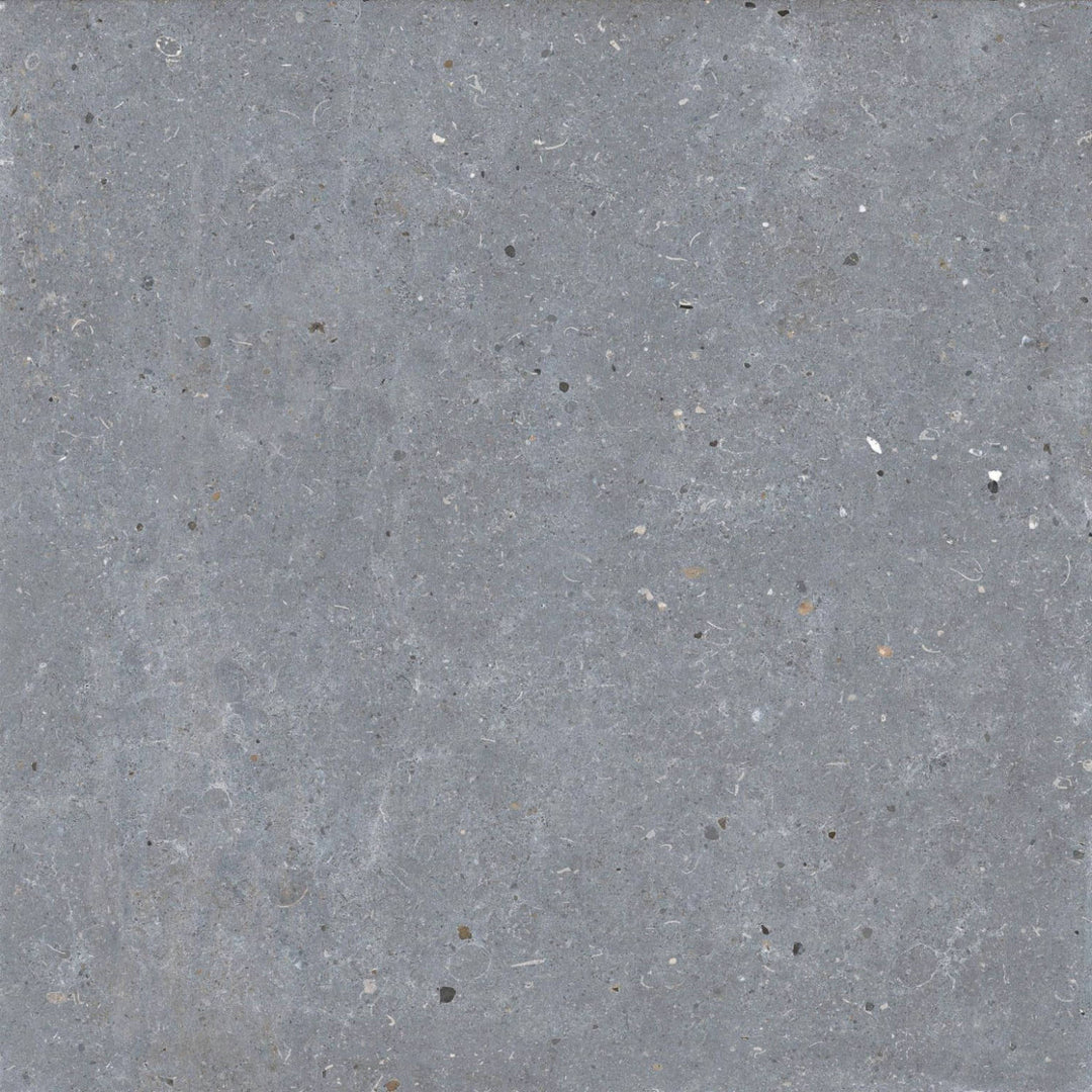 Gresie Messel Grey 66x66 cm PT05876 Codicer