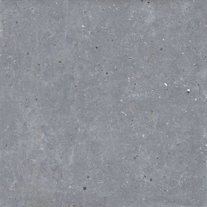 Gresie Messel Grey 66x66 cm PT05876 Codicer