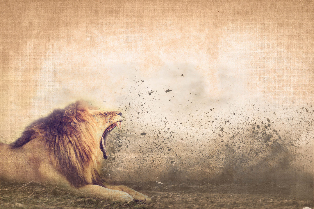 Tapet Roar Of The Lion, Instabilelab