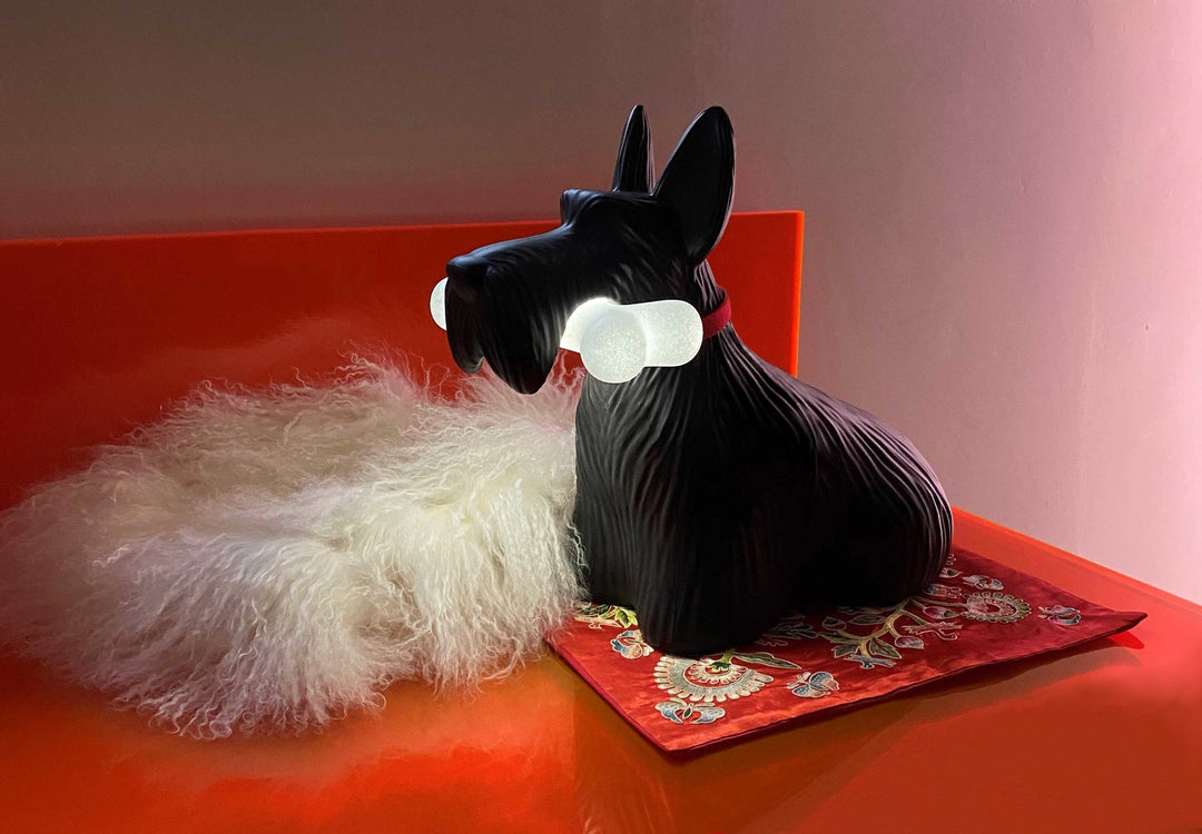 Scottie Black, Qeeboo