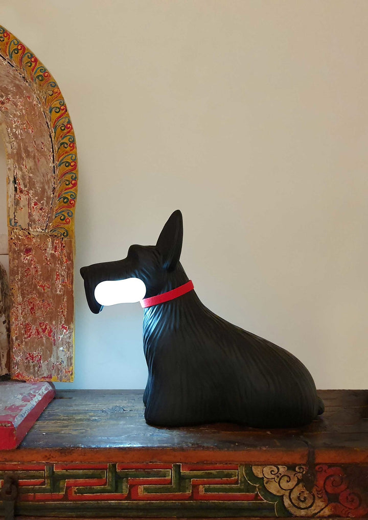 Scottie Black, Qeeboo